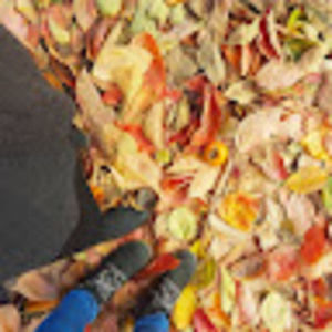 Meet your Posher, Ericka